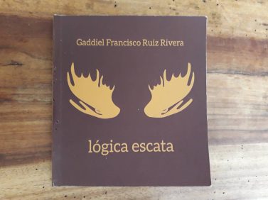 50618272_334365597418374_1600358862358052864_n